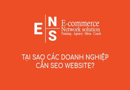 Tại sao các doanh nghiệp cần SEO website?