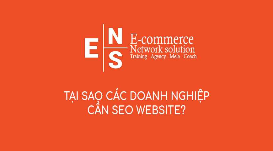Tại sao các doanh nghiệp cần SEO website?